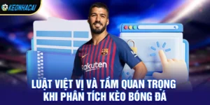 Luật Việt Vị – Quy Tắc Quan Trọng Ảnh Hưởng Đến Mọi Pha Bóng