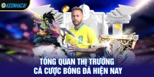 Nên cược giải bóng đá nào để tối ưu lợi nhuận cho người mới?