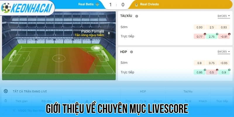 Livescore – Trực Tuyến Bóng Đá 247 Chi Tiết Và Chính Xác 113 Giới thiệu về chuyên mục livescore
